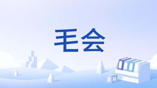 毛会