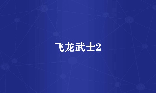 飞龙武士2