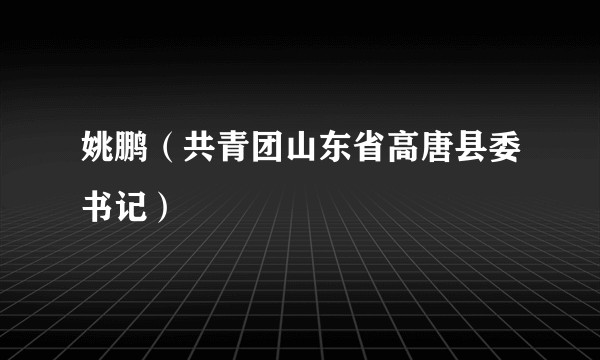 姚鹏（共青团山东省高唐县委书记）