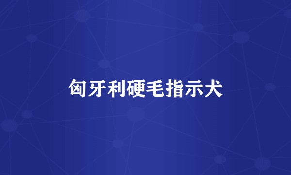 匈牙利硬毛指示犬
