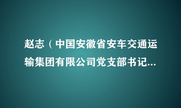 赵志（中国安徽省安车交通运输集团有限公司党支部书记、董事长）