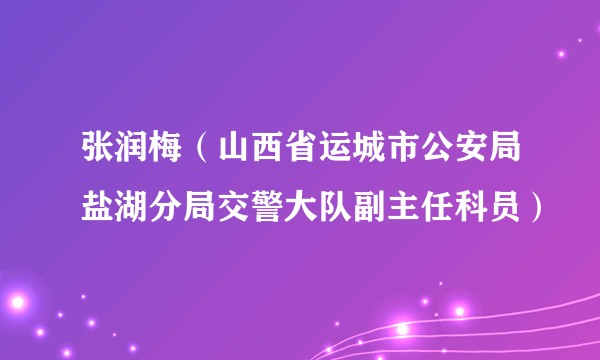 张润梅（山西省运城市公安局盐湖分局交警大队副主任科员）