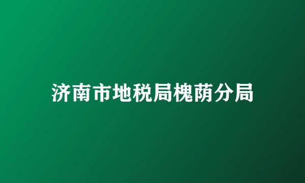 济南市地税局槐荫分局