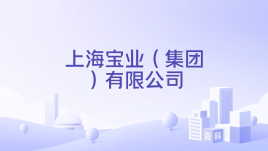 上海宝业（集团）有限公司