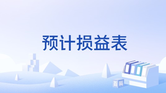 预计损益表