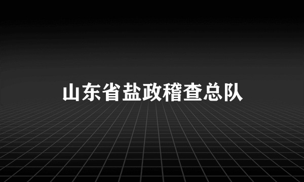山东省盐政稽查总队