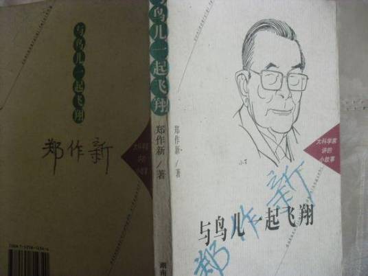 与鸟儿一起飞翔