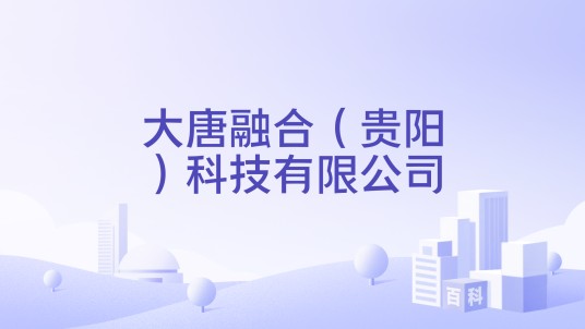 大唐融合（贵阳）科技有限公司