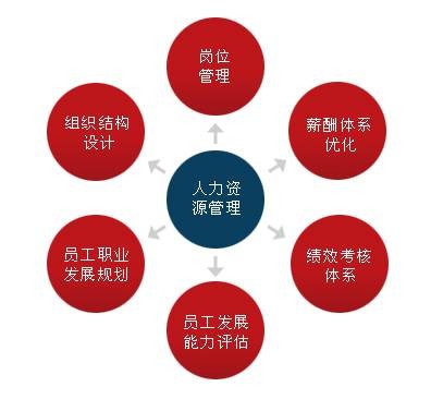 人力资源外包