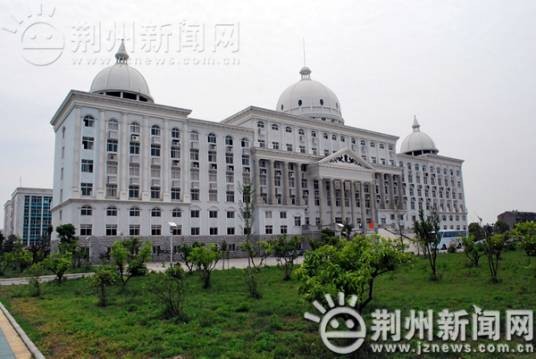 兽医（从事防治和诊断动物疾病的职业）