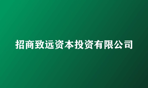 招商致远资本投资有限公司
