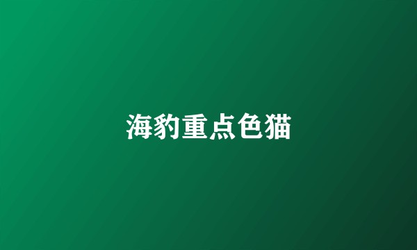 海豹重点色猫