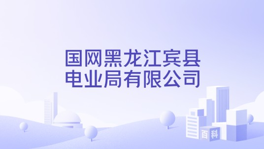 国网黑龙江宾县电业局有限公司