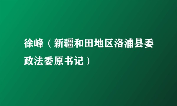 徐峰（新疆和田地区洛浦县委政法委原书记）