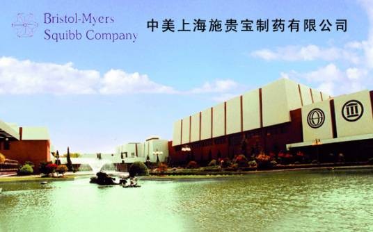 中美上海施贵宝制药有限公司