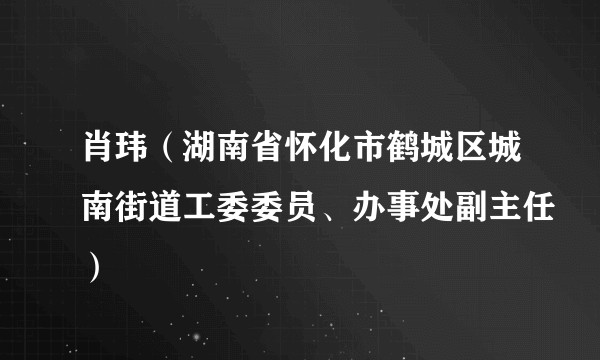 肖玮(湖南省怀化市鹤城区城南街道工委委员、办事处副主任)
