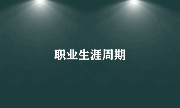职业生涯周期