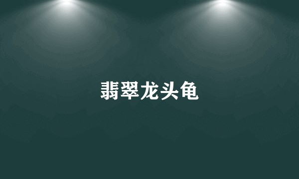 翡翠龙头龟