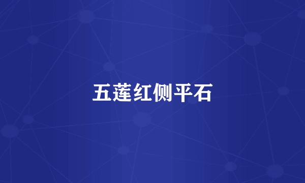 五莲红侧平石