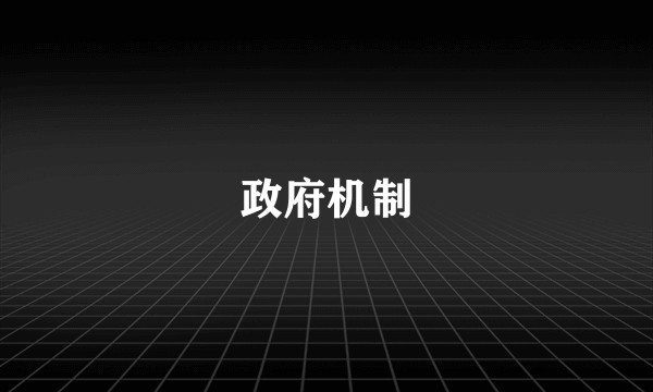 政府机制