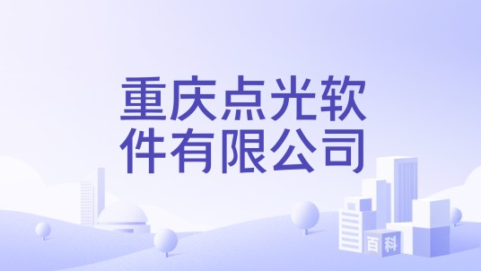 重庆点光软件有限公司