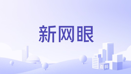 新网眼