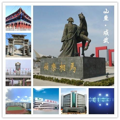 成武县