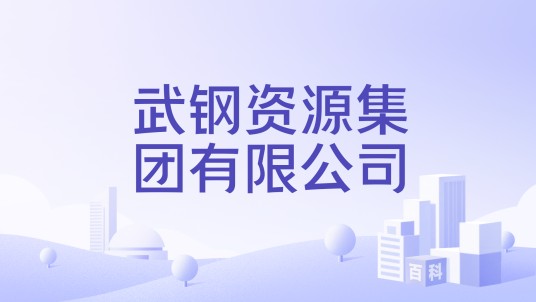 武钢资源集团有限公司