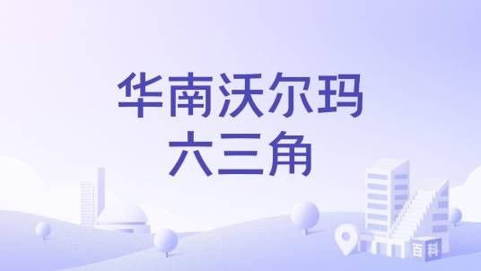 华南沃尔玛六三角