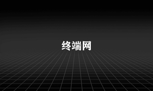 终端网