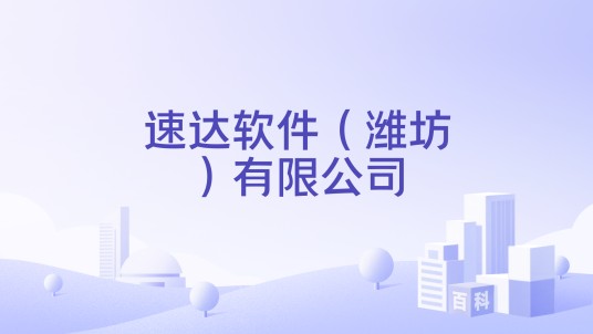 速达软件（潍坊）有限公司