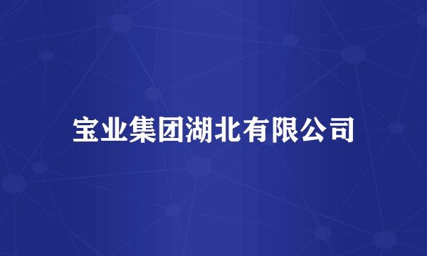 宝业集团湖北有限公司