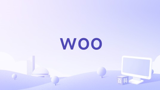 woo（王晨宇IceCraz演唱的歌曲）