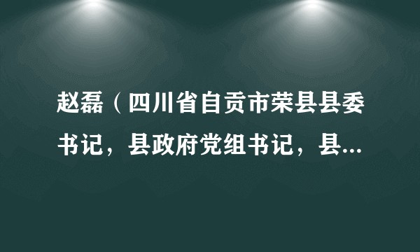 赵磊(四川省自贡市荣县县委书记,县政府党组书记,县人武部党委第一书记)