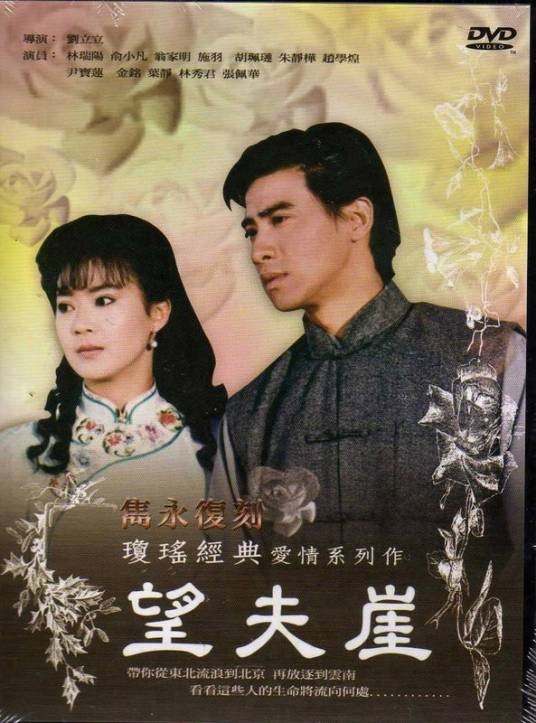 望夫崖（1991年刘立立执导的电视剧）