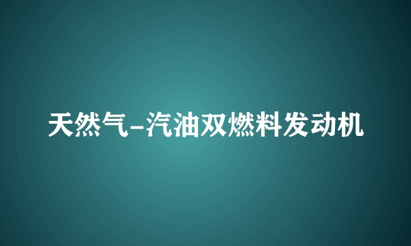 天然气-汽油双燃料发动机