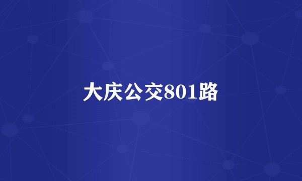 大庆公交801路