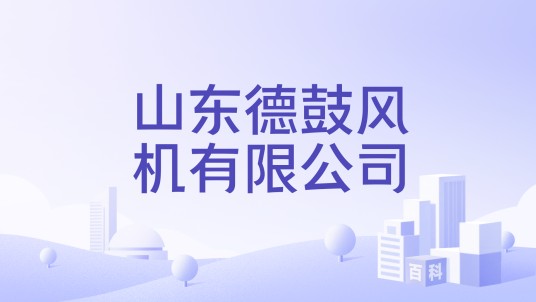 山东德鼓风机有限公司