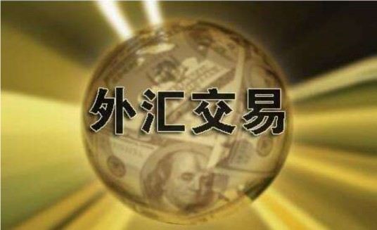 外汇交易（一国货币与另一国货币进行交换的金融活动）