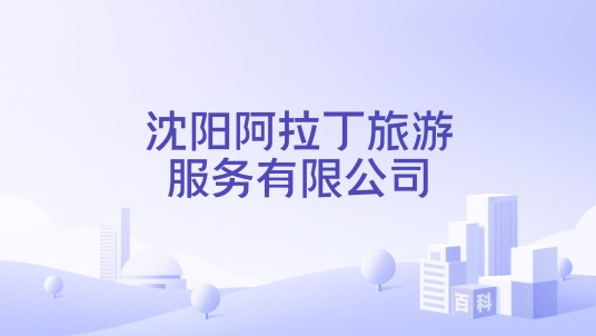 沈阳阿拉丁旅游服务有限公司