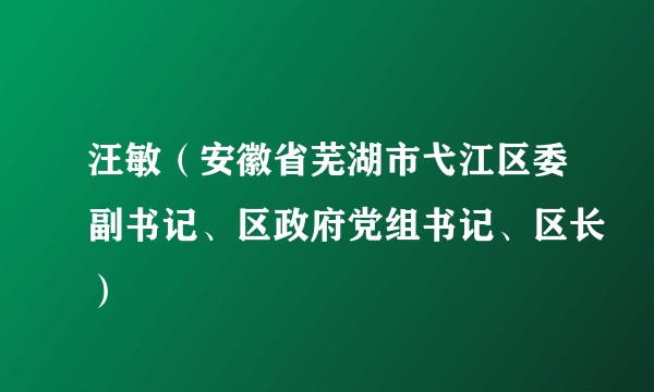 汪敏（安徽省芜湖市弋江区委副书记、区政府党组书记、区长）
