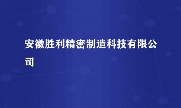 安徽胜利精密制造科技有限公司