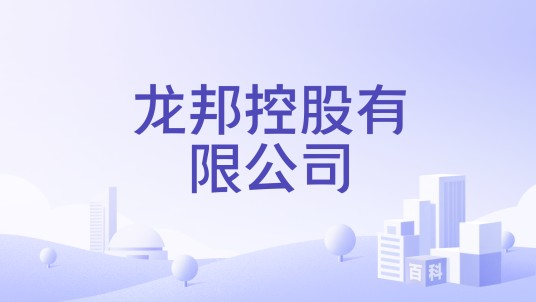龙邦控股有限公司
