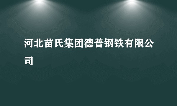 河北苗氏集团德普钢铁有限公司