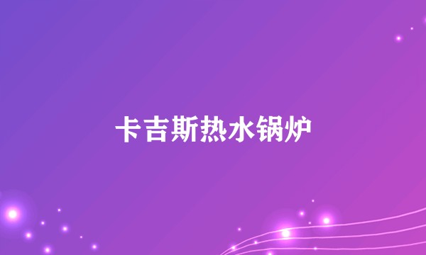 卡吉斯热水锅炉
