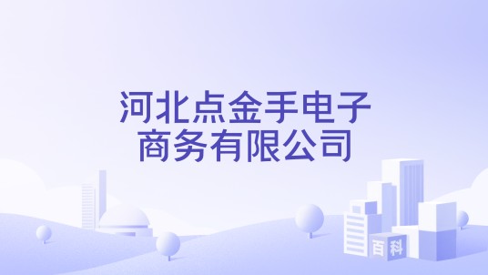 河北点金手电子商务有限公司