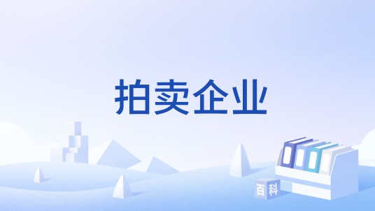 拍卖企业