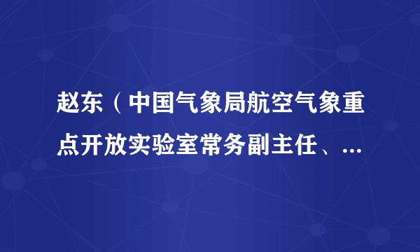 赵东（中国气象局航空气象重点开放实验室常务副主任、全球气象导航公司总经理）