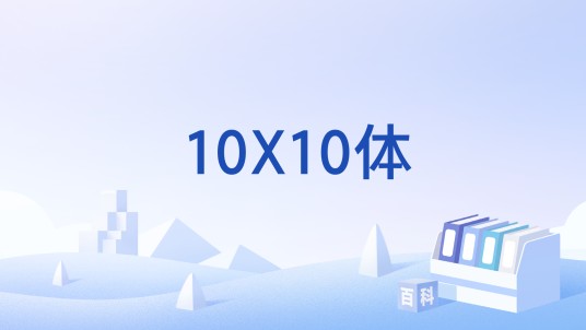10X10体