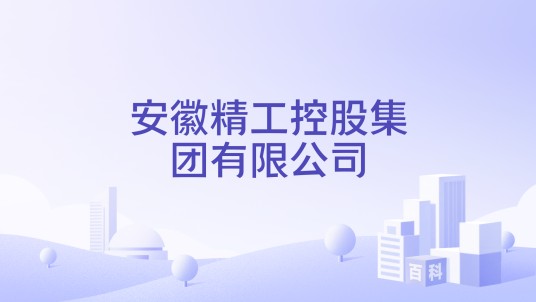 安徽精工控股集团有限公司